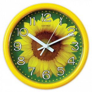 Часы настенные САЛЮТ ПЕ-Б2-225 круг, зеленые с рисунком "Под