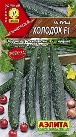 Огурец китайский Холодок F1 (2024; 12.552.01)