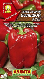 Перец сладкий Большой куш (2023; 14.279.03)