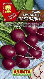 Редис Мулатка-шоколадка (2024; 19.129.01)