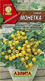 Томат Монетка (2024; 16.477.12)