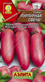 Томат Пурпурная свеча (2024; 16.690.08)