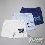 Боксеры