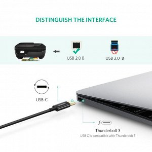 Кабель соединительный USB 2.0 AC-BM, ИБП 2,0 м.  (для оргтехники) (US241) Ugreen