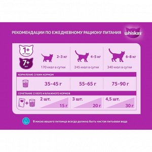 Сухой корм Whiskas для кошек, говядина паштет, подушечки, 13,8 кг