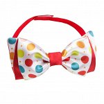 Бабочка Evgakids в цветной горох д/мальчика EV*Akids