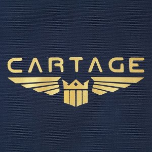 Термосумка Cartage Т-16, синяя, 10 л, 26x19x19 см