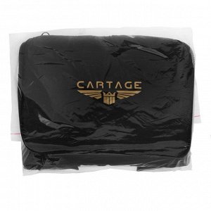 Термосумка Cartage Т-16, синяя, 10 л, 26x19x19 см