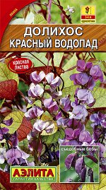 Долихос Красный водопад (2022; 98.01.03)