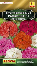 Пеларгония (герань) Рафаэлла F1, смесь окрасок (2023; 85.45.13)