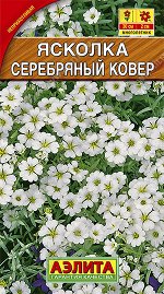 Ясколка Серебряный ковер (2023; 231.01.34)