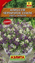 Алиссум Черничное суфле, смесь окрасок (2023; 177.38.06)