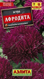 Астра Афродита (2023; 50.206.14)