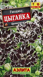 Гвоздика Цыганка китайская (2023; 91.13.25)