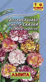 Гвоздика Шабо Пикоти Сказка, смесь окрасок (2022; 91.15.17)
