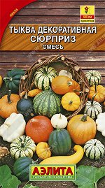 Тыква декоративная Сюрприз, смесь (2024; 235.03.05)
