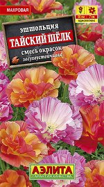 Эшшольция махровая Тайский шелк, смесь окрасок (2023; 230.11.13)
