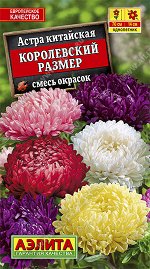 Астра Королевский размер, смесь окрасок (2023; 50.107.32)