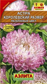 Астра Королевский размер яблоневый цвет (2023; 50.104.22)