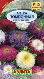 Астра Помпонная, смесь окрасок (2023; 50.28.54)