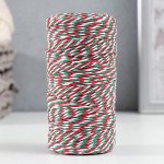 Пряжа 100% целлюлоза &quot;Softino Raffia Color Melange&quot; кручёная, рождество 100м ±2м 87р