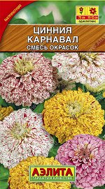 Цинния Карнавал, смесь окрасок (2023; 211.16.23)