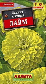 Цинния Лайм (2022; 211.103.04)