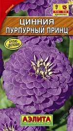 Цинния Пурпурный принц (2023; 211.32.16)