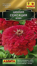 Цинния Сенсация алая (2023; 211.114.08)