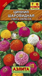 Цинния Шаровидная, смесь окрасок (2022; 211.94.06)
