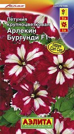 Петуния Арлекин Бургунди F1 крупноцветковая (2023; 161.93.31)