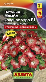 Петуния Мамбо F1 красное утро многоцветковая (2023; 161.553.13)