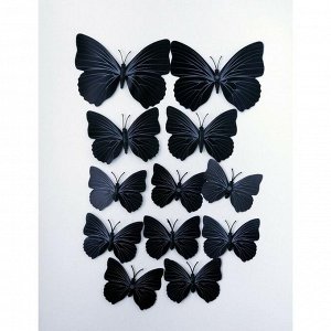 Бабочка на магните набор 12 шт пластик цвет черный