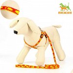 Комплект &quot;Большая лапа&quot;, ширина 1 см, поводок  120 см, шлейка 25-36 см, оранжево-жёлтый   7345258