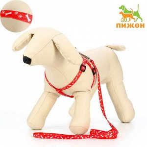 Комплект "Классика", капрон, ширина 1 см, шлейка 21-35 см, поводок 120 см, капрон, красный   7024539