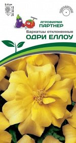 Бархатцы отклоненные Одри Еллоу