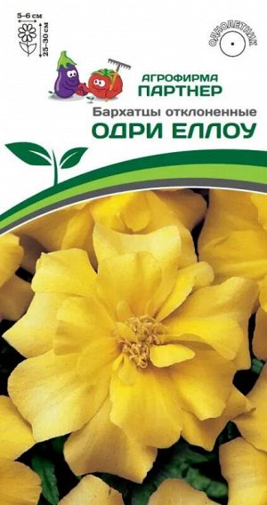 Бархатцы отклоненные Одри Еллоу