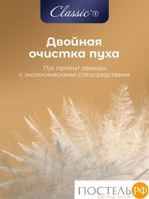 Подушка CLASSIC by T СИНТИ, Классическая, 70х70 (Квадратная)