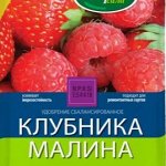 Удобрения для клубники, земляники