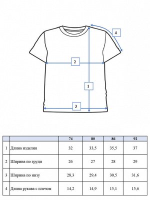 Комплект трикотажный для мальчиков: фуфайка (футболка), шорты