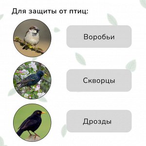 Сетка садовая, мягкая, 10 * 4 м, ячейка 15 * 15 мм, от птиц , Greengo