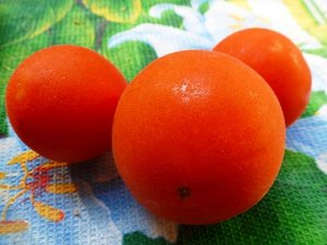 Помидоры Velvet Red — Красный Вельвет