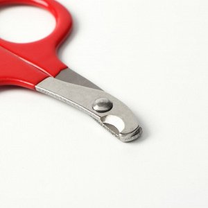 ВЫВОДИМ Ножницы-когтерез с удлиненным упором для пальцев, отверстие 7 мм, микс цветов