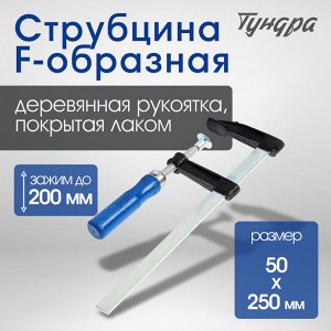 Струбцина F-образная ТУНДРА, 200x50x250 мм