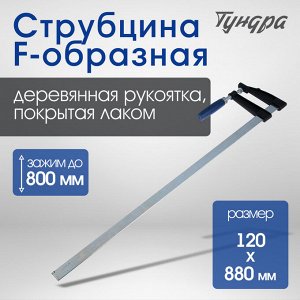 Струбцина F-образная ТУНДРА, 800x120x880 мм