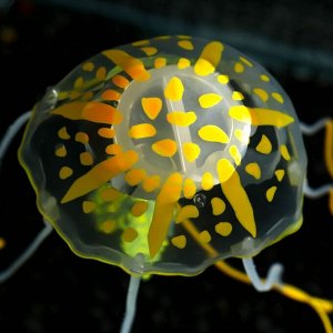 ВЫВОДИМ Декор для аквариума "Медуза" силиконовая, с неоновым эффектом, 5 х 5 х 15 см, оранжевая   7108868