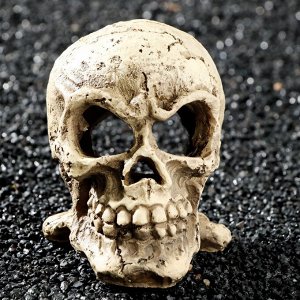 ВЫВОДИМ Декор для аквариума "Череп", 10 х 8 х 9 см   7102551
