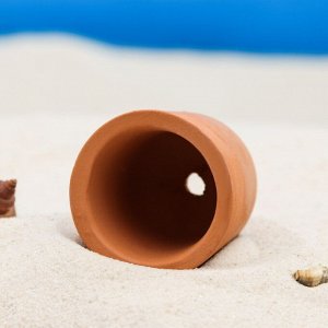 ВЫВОДИМ Декор керамический для аквариума "Укрытие для креветок", 4 х 3,9 х 3,9 см 2620738