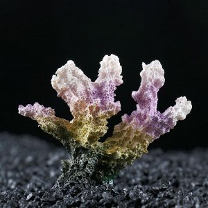 ВЫВОДИМ Декоративный коралл "Синулярия", 7 х 4 х 7 см   1279940