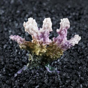 ВЫВОДИМ Декоративный коралл "Синулярия", 7 х 4 х 7 см   1279940
